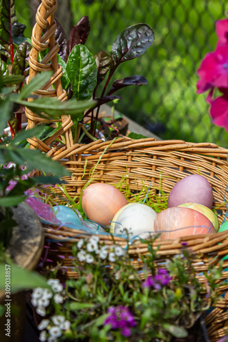 easter eggs sitting in basket with pink hydrangias photo