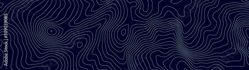 Topographic map lines background. Abstract vector illustration. photo