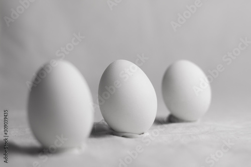 white eggs arranged in a row