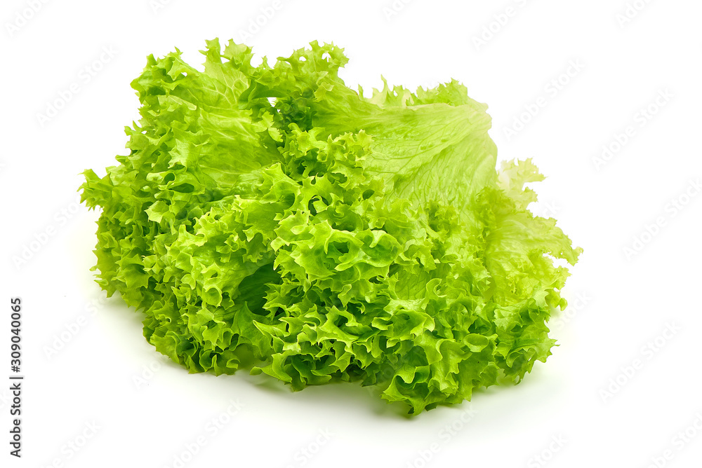 Lettuce Salad leaf, isolated on white background Lettuce Salad leaf, isolated on white background