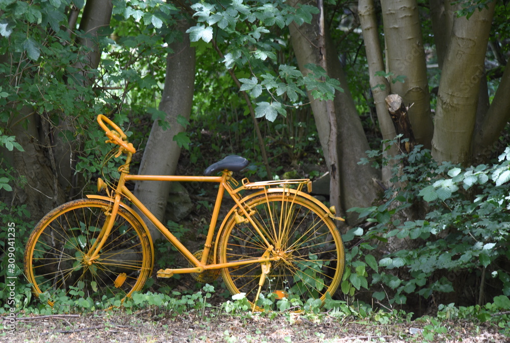 Oranges Fahrrad am Waldesrand
