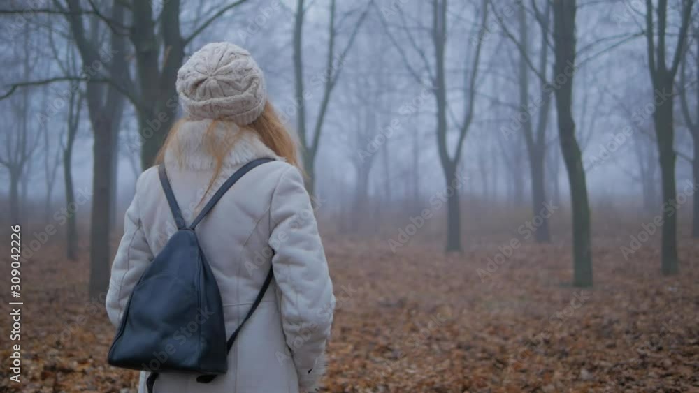 lonely woman walking at autumn park with strong fog lonely woman walking at autumn park with strong fog