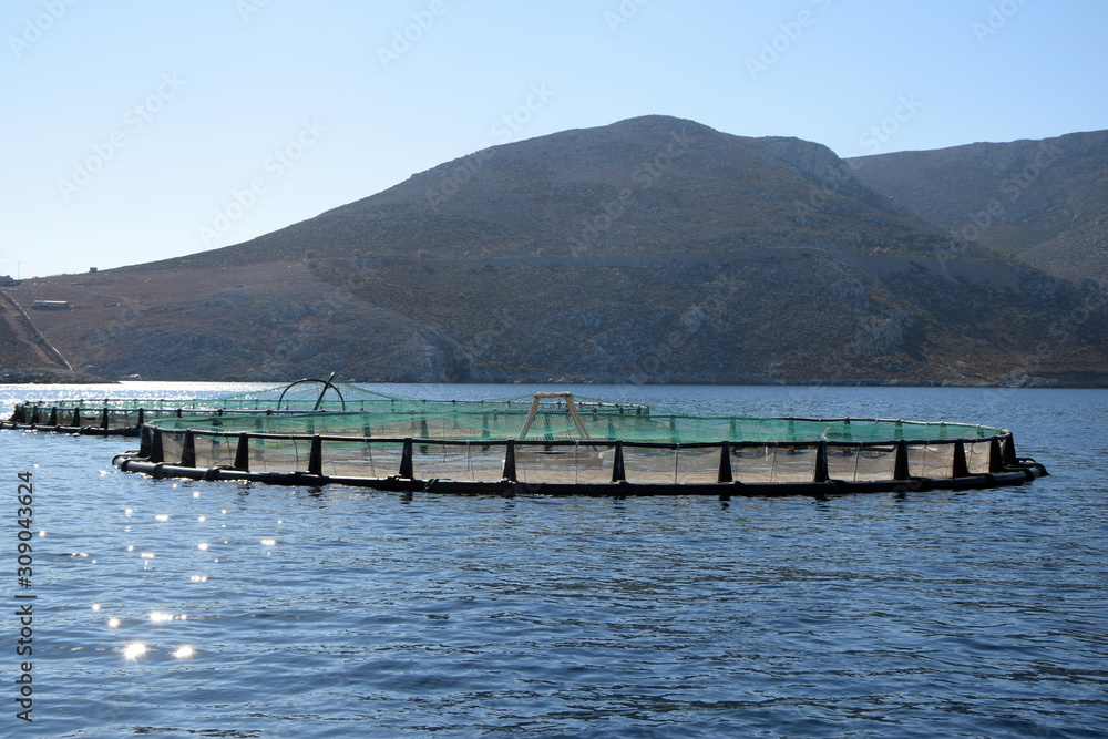 Fischzucht im Meer bei Kalymnos