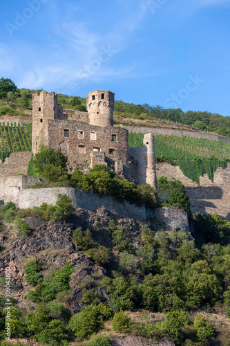 Ehrenfels Castle ruins on the Rhine River