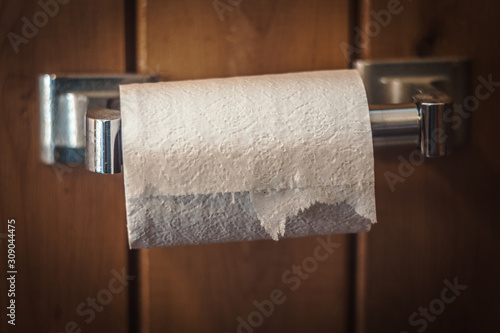 Toilet Paper in Rustic Home