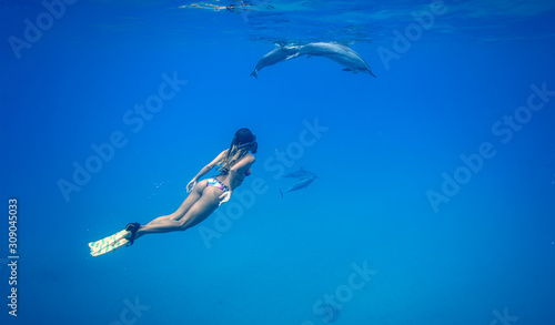 Fit girl swimming with wild dolphins in blue sea water on clean copyspace background, aquatic life media