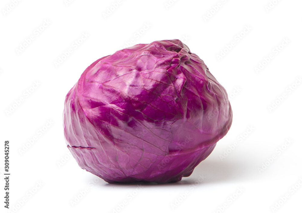 A head of purple cabbage white background. A head of purple cabbage white background.