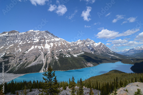 Famous picturesque Peyto Lake under a blue sky with puffy clouds below towering snow capped peaks in Banff National Park, Alberta, Canada