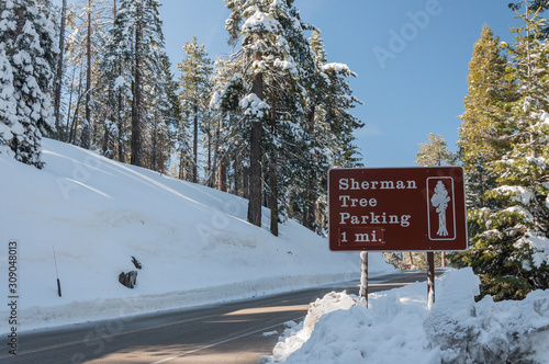 Sign to Sherman tree in Sequoia National Park