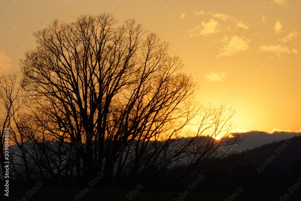 Sunset Over the Blue Ridge Mountain in Autumn with Leafless Trees Sunset Over the Blue Ridge Mountain in Autumn with Leafless Trees