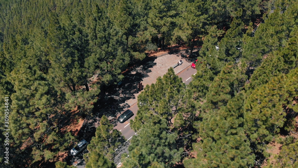Breathtaking aerial view - a very dense forest of pine trees, a road in the clouds and an observation deck on the island of Tenerife Breathtaking aerial view - a very dense forest of pine trees, a road in the clouds and an observation deck on the island of Tenerife
