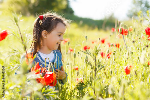 Little girl picking poppies in a field photo