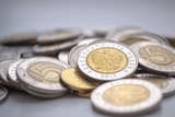 PLN. Polish Zloty coins. Finance background