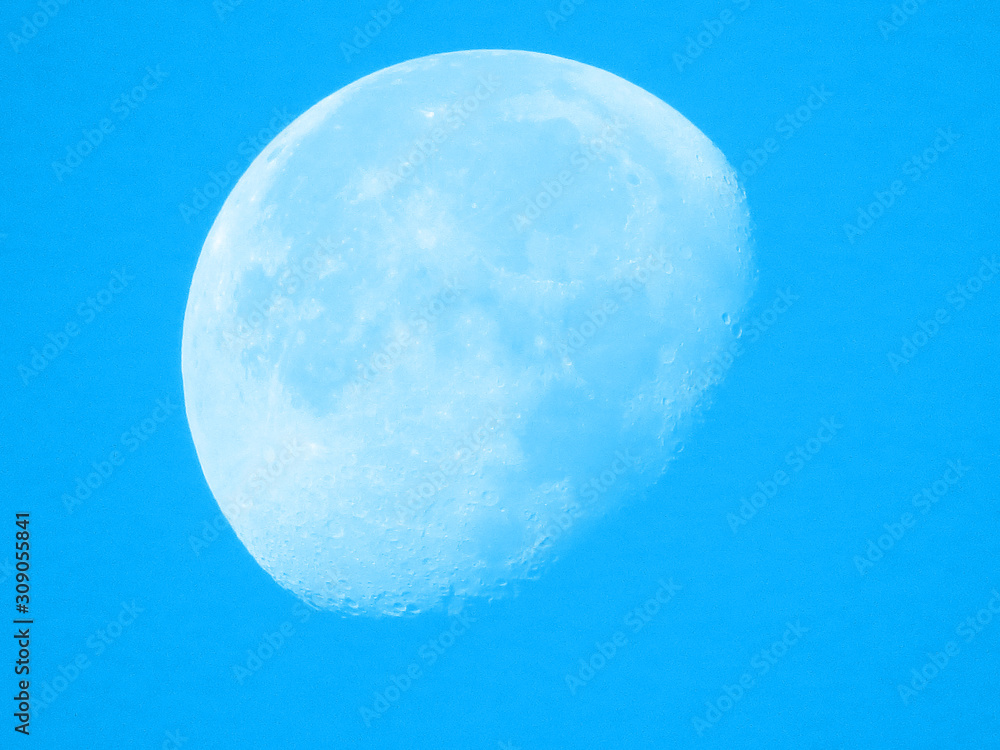moon moon
