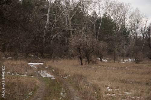 Partially snowy road in the forest on background of trees
