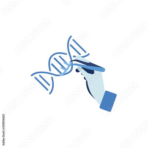 Manual genetic engineering. Manipulation of DNA double helix with with bare hands, tweezers. vector on a white background. photo