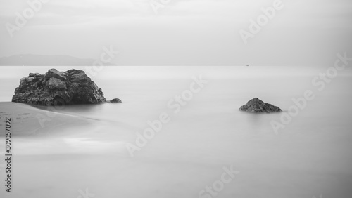 Black and white feather-shaped image of rocks and waves on the seashore. Soft...