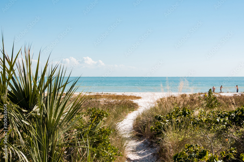 Beautiful path down to the beach Beautiful path down to the beach