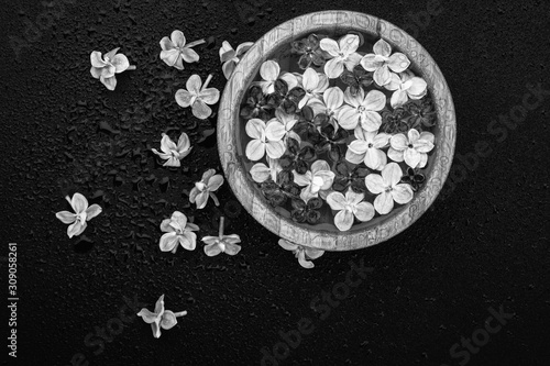 Black and white photo fine art of floating lilac flowers in a bowl of water on a wet black background.