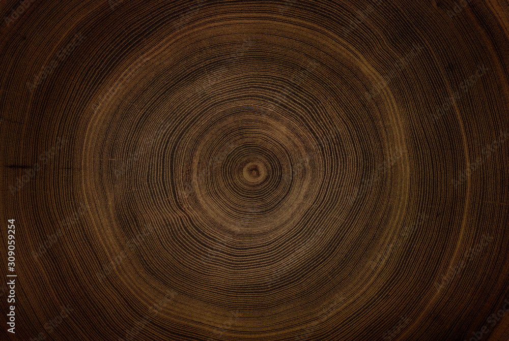 Old wooden oak tree cut surface. Detailed warm dark brown and orange tones of a felled tree trunk or stump. Rough organic texture of tree rings with close up of end grain. Old wooden oak tree cut surface. Detailed warm dark brown and orange tones of a felled tree trunk or stump. Rough organic texture of tree rings with close up of end grain.