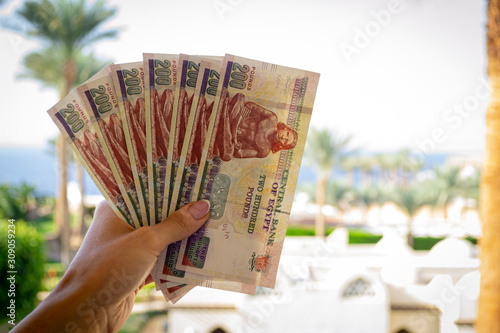 Egyptian pounds in woman hands. Money of Egypt. Summer theme photo