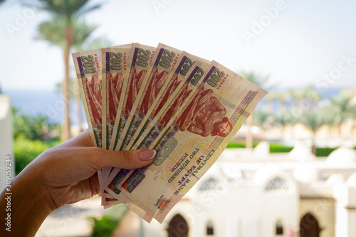 Egyptian pounds in woman hands. Money of Egypt. Summer theme