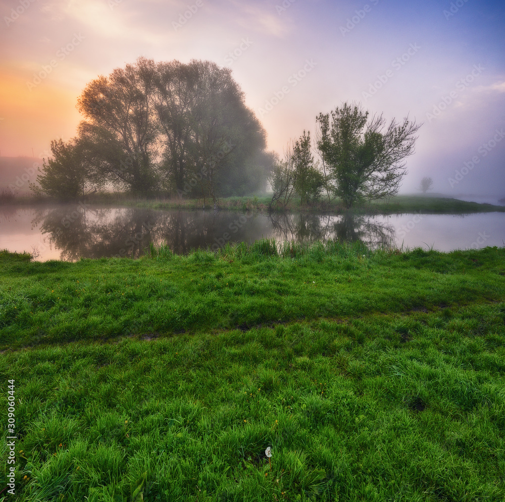 fog in the river valley. picturesque spring morning. beautiful foggy sunrise in a foggy meadow fog in the river valley. picturesque spring morning. beautiful foggy sunrise in a foggy meadow