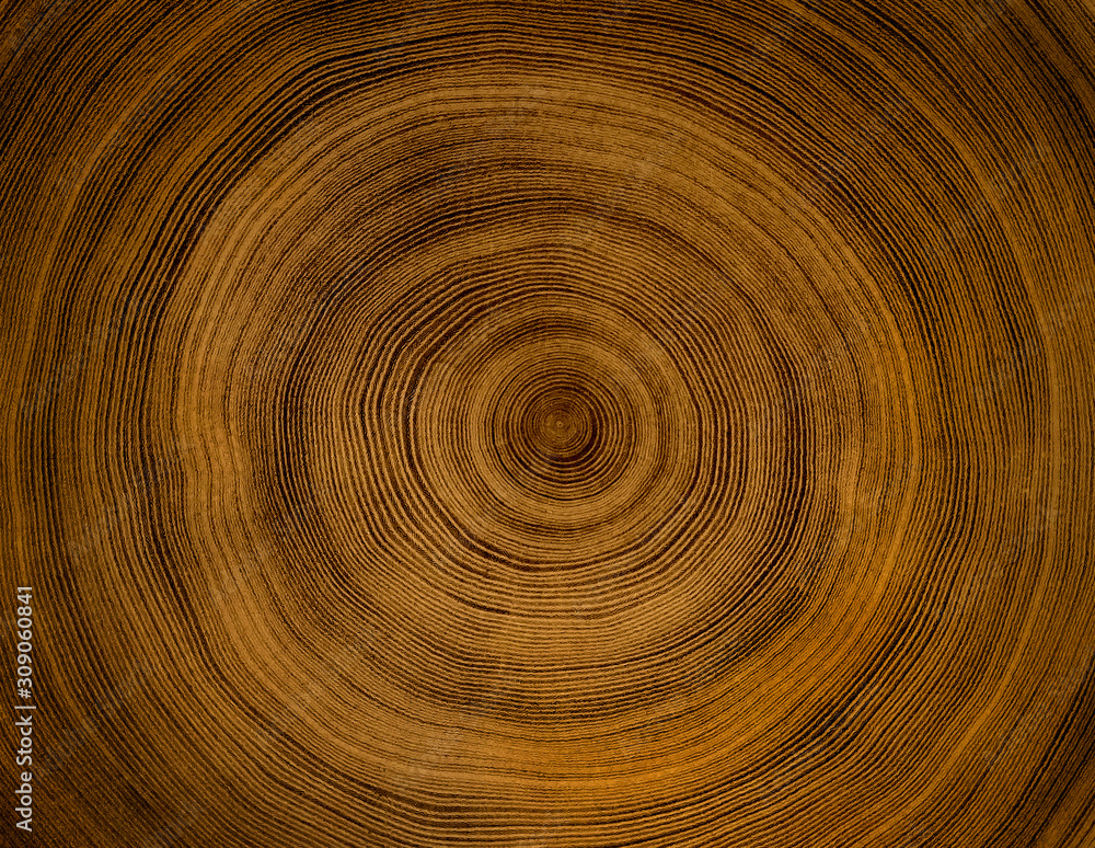 Old wooden oak tree cut surface. Detailed warm dark brown and orange tones of a felled tree trunk or stump. Rough organic texture of tree rings with close up of end grain. Old wooden oak tree cut surface. Detailed warm dark brown and orange tones of a felled tree trunk or stump. Rough organic texture of tree rings with close up of end grain.
