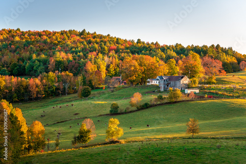 Fototapeta Farm and pastureland in a colourful autumnal landscape at sunset