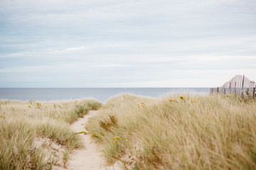Leinwandbilder Dünen Sanddünen unter klarem blauem Himmel  © Kerry