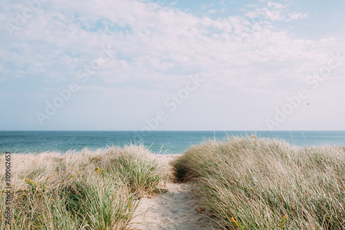 beach and sea