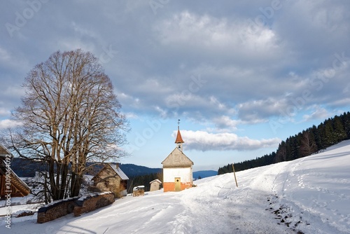 Baden-Württemberg - Hinterzarten - Wanderweg im Winter photo