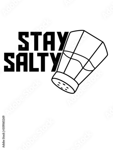 Logo Stay Salty 