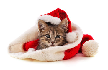 Kitten in the hat Santa.