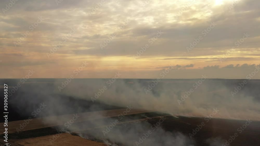 4k Fire In A Cornfield After The Harvest View from the drone 4k Fire In A Cornfield After The Harvest View from the drone