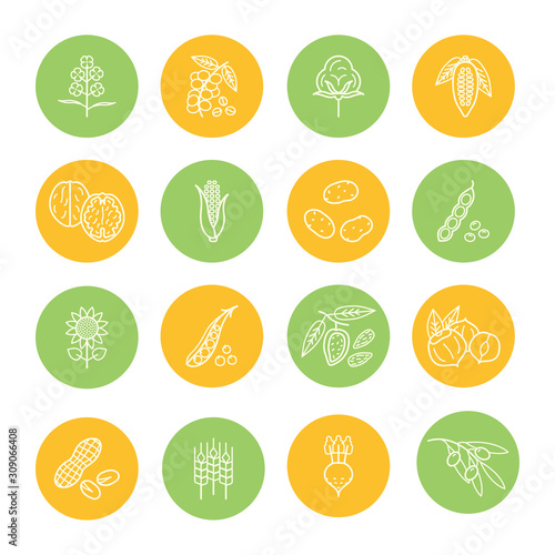 Agricultural commodities products thin line icons set