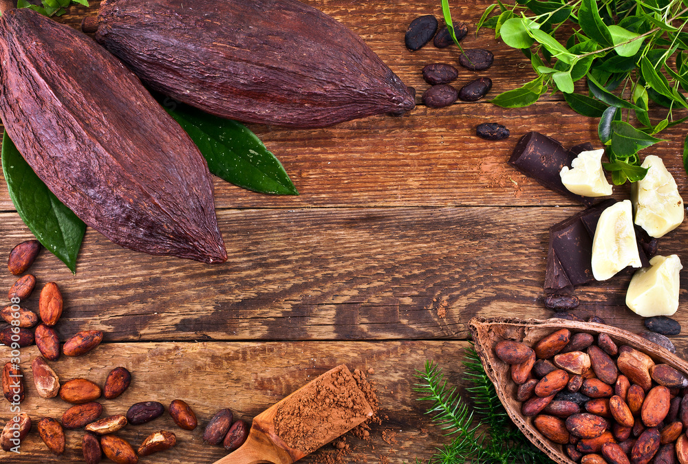 Cocoa pods, cocoa beans, cocoa butter and cacao powder in a wooden scoop with natural green leaves on a wooden background. Copy space. Top view. Cocoa pods, cocoa beans, cocoa butter and cacao powder in a wooden scoop with natural green leaves on a wooden background. Copy space. Top view.