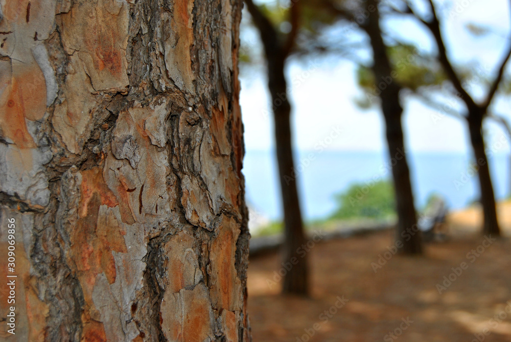 Landscape by Cinque Terre