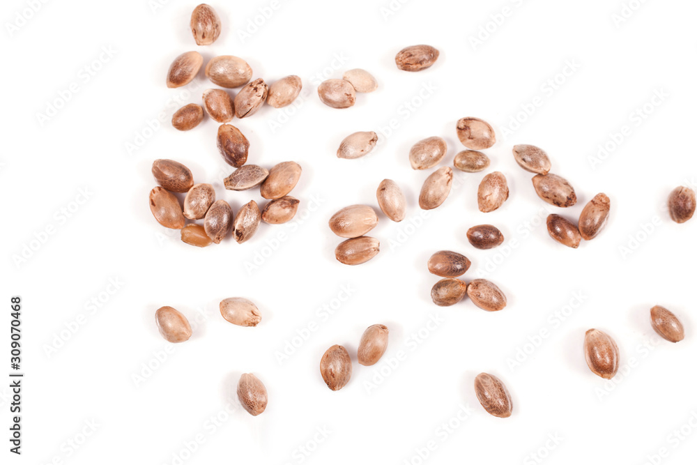 Naklejka premium Cannabis seeds isolated on a white background.