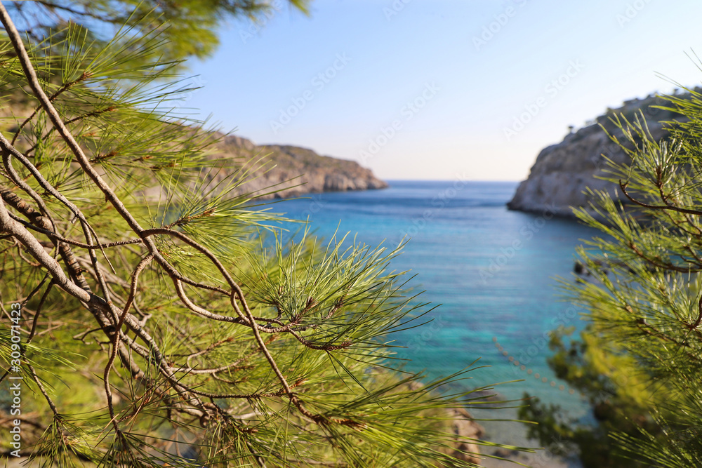 Mediterranean coast, green fir branches in focus, the sea in the background blurred background. Mediterranean coast, green fir branches in focus, the sea in the background blurred background.