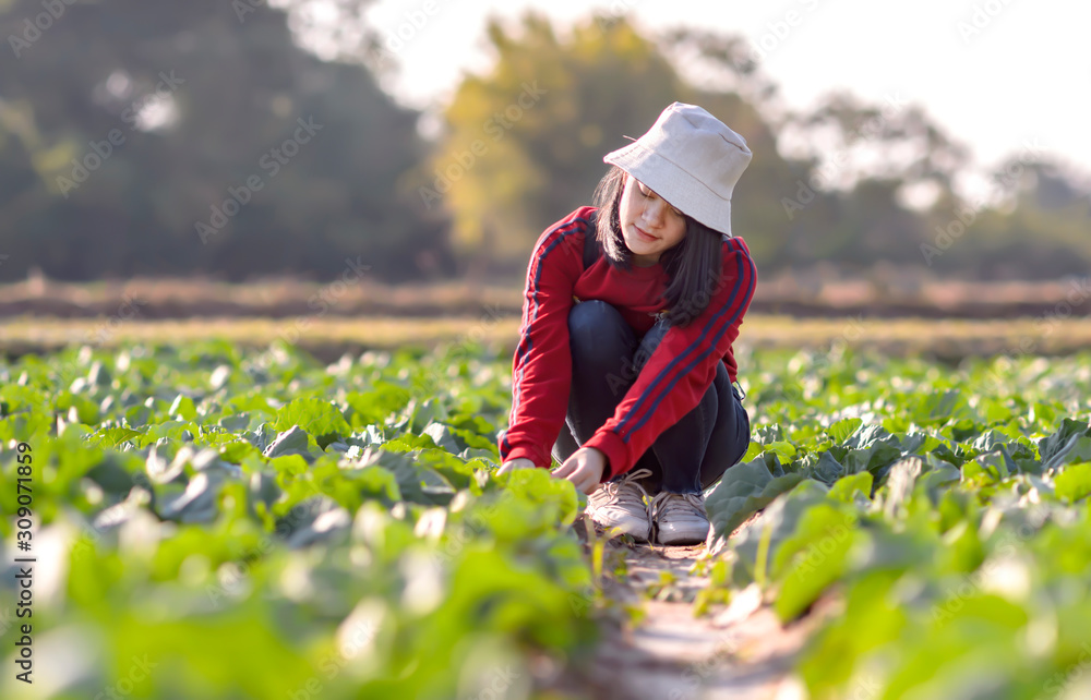 A girl sitting on a organic vegetable farm That is time to harvest A girl sitting on a organic vegetable farm That is time to harvest