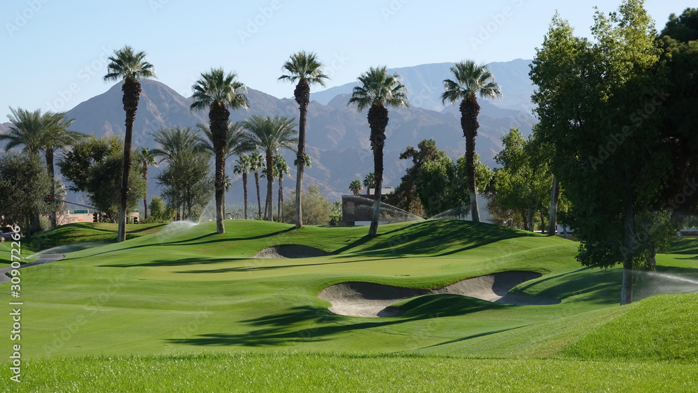 View of desert golf course with palms and sand traps