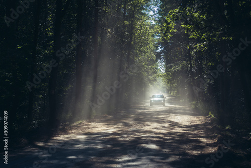 Unpaved road in forest in Gryfice County, West Pomerania region of Poland