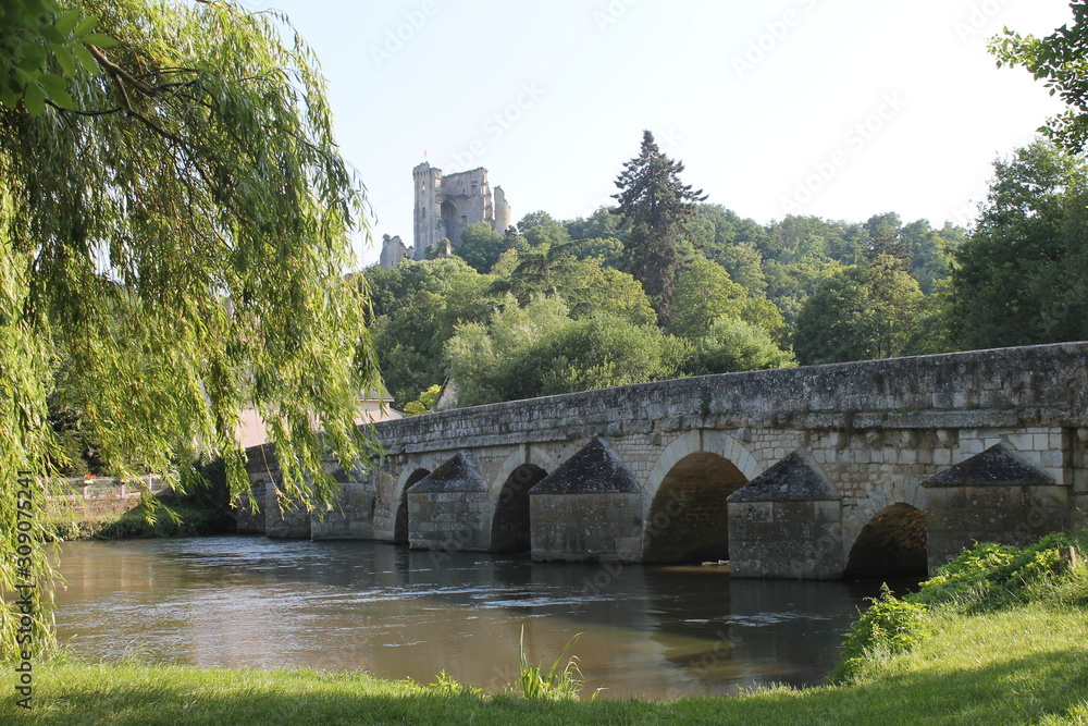 pont et château de Lavardin (41)