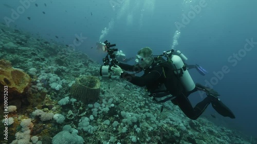 Wallpaper Mural Slow motion shot Diver on background School of fish underwater landscape in Kepulauan Banda Indonesia. Swimming in world colorful beautiful wildlife of reefs and algae. Inhabitants in search of food. Torontodigital.ca