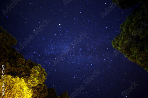 Beautiful starry night view of the high mountains of central Taiwan, paired with two towering forests © Konlon