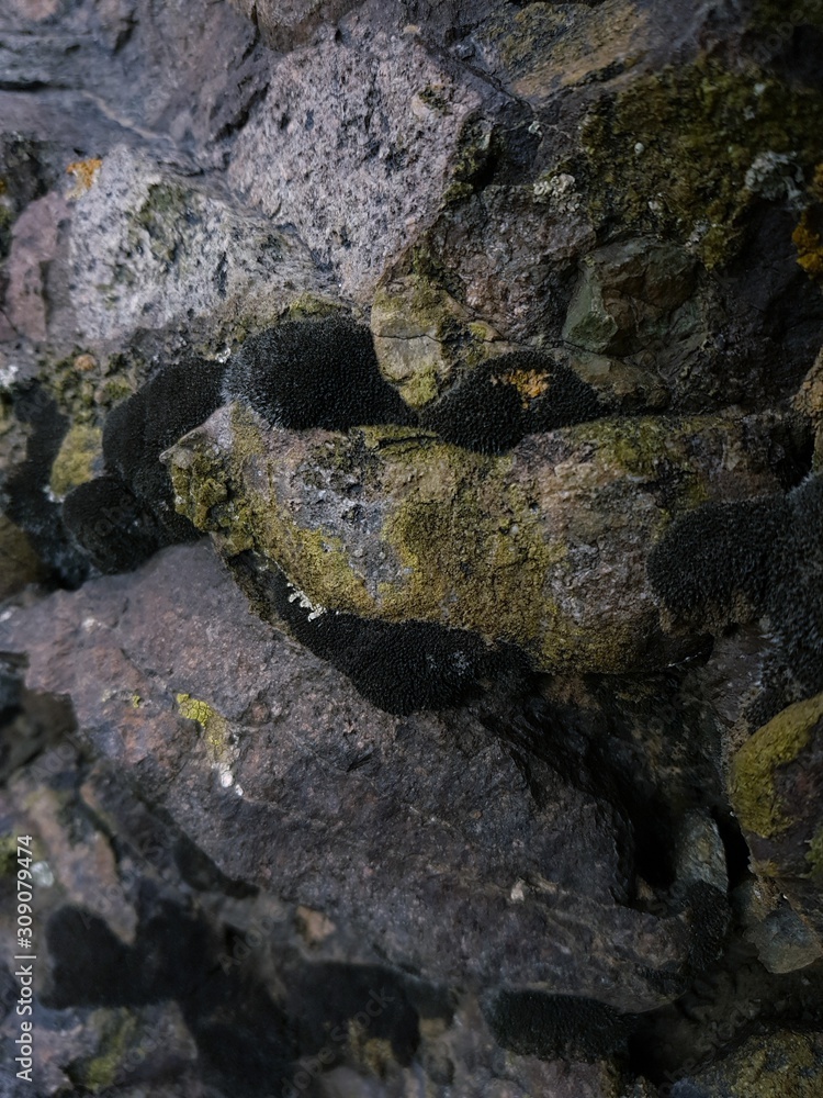 Rocas Rocas