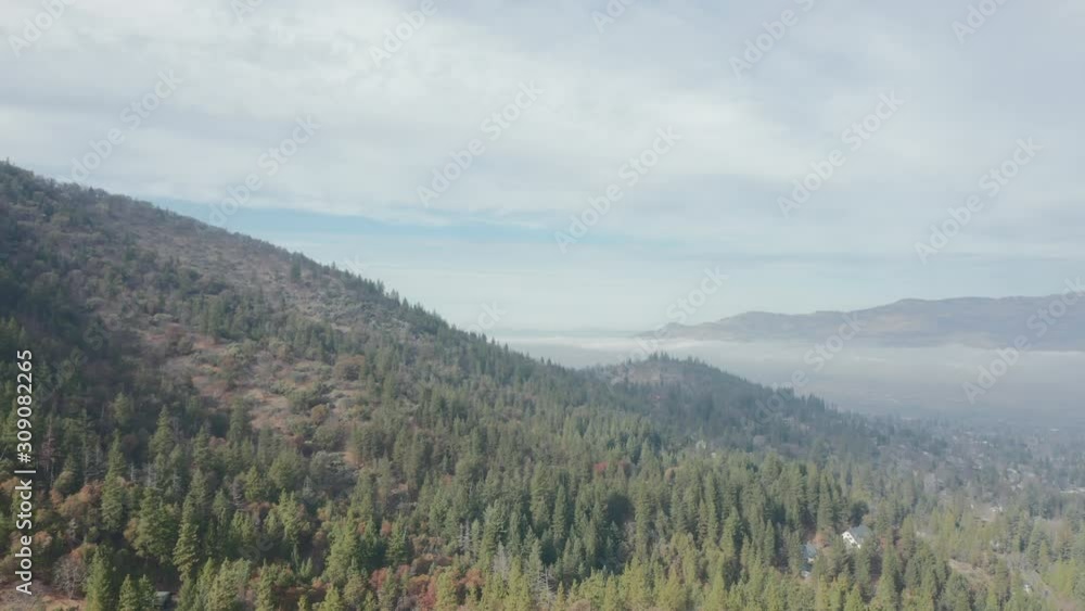 4k Aerial Shot Flying High Over Trees Towards Mountains and a Blanket of Fog 4k Aerial Shot Flying High Over Trees Towards Mountains and a Blanket of Fog