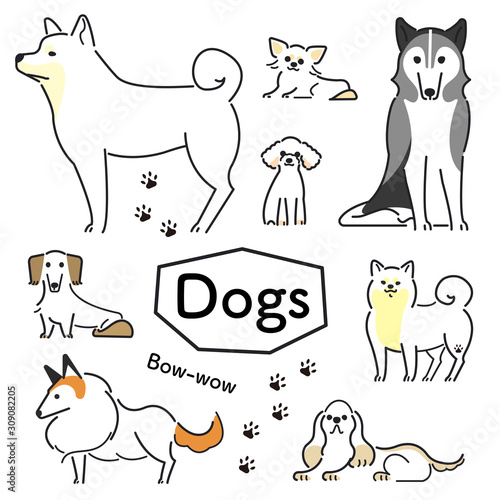犬　ポーズ　表情　セット