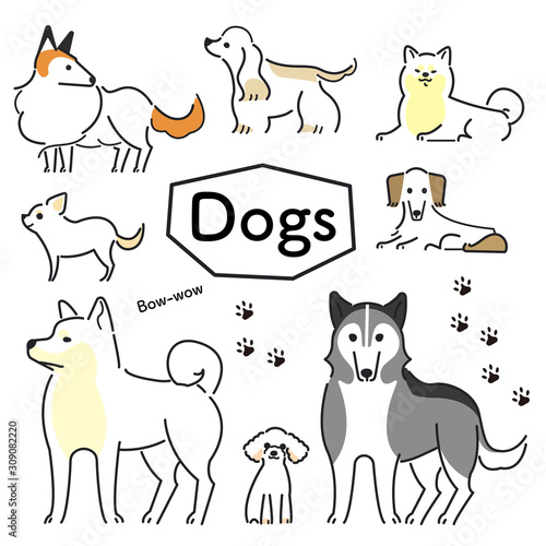 犬　ポーズ　表情　セット